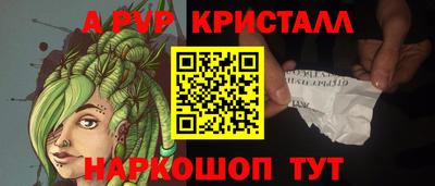 ECSTASY Аргун