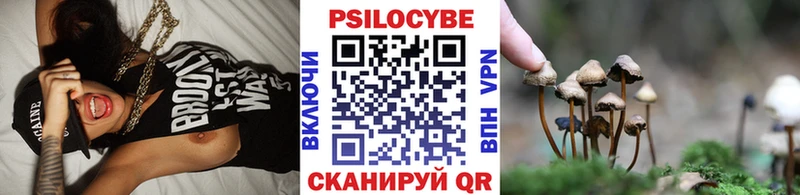 Псилоцибиновые грибы Psilocybe  Бор 