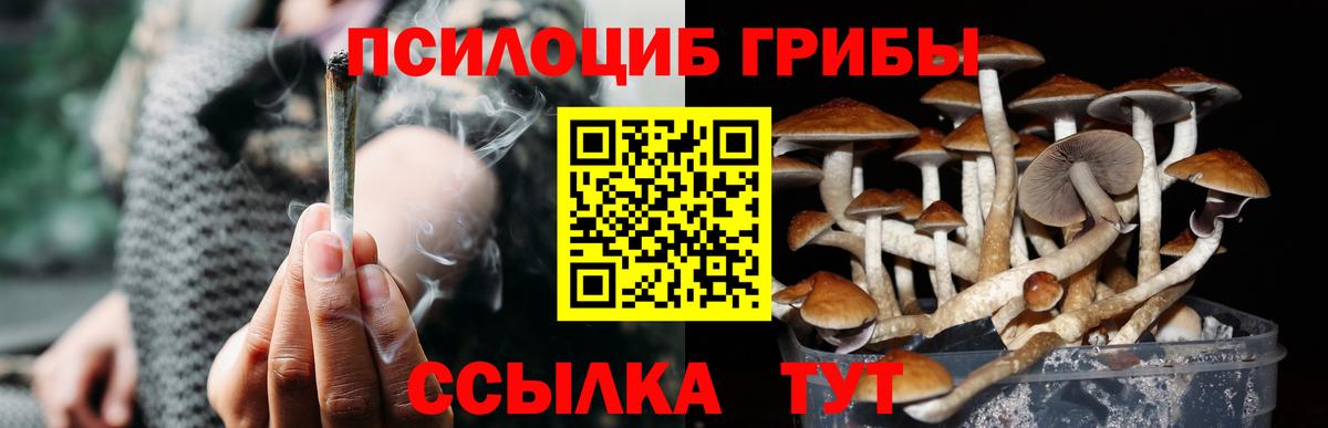 где найти   Псилоцибиновые грибы мухоморы  Бор  Вход с VPN  Галлюциногенные грибы мицелий 